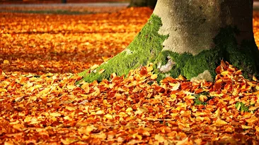 Prognoza meteo 6 octombrie 2018: Meteorologii au anunțat că valorile termice sunt peste cele obişnuite