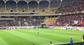 Galerie foto - poza 1