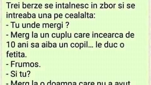 BANC| 3 berze se întâlnesc în zbor și se întreabă una pe cealaltă: "Tu unde mergi?"