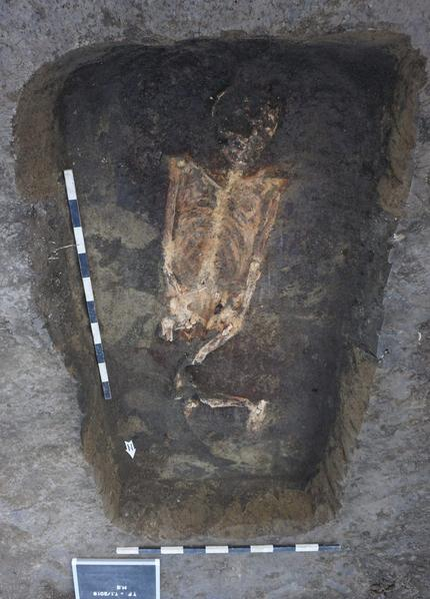 Imagini cu mormintele descoperite