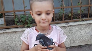 O fetiță de cinci anișori suferă de cancer în fază terminală! Familia nu își poate permite operația de 40.000 de euro: „Haideți să fim alături de acest pui de om!”