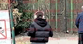 Galerie foto - poza 2