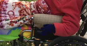 Galerie foto - poza 4