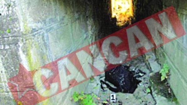 Cadavru transat descoperit sub doua poduri de langa Lugoj