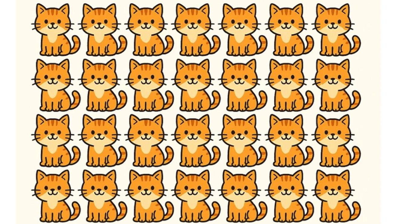 Test de logică | O singură pisică este diferită de toate celelalte. Care?