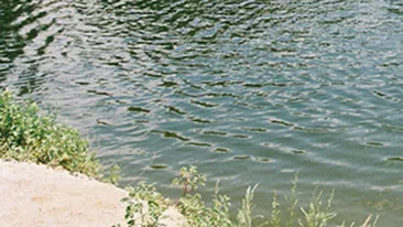 Destin crud! Un baiat de 16 ani a salvat doi copii, dar a intrat in coma