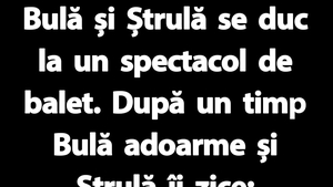 BANC | Bulă și Ștrulă se duc la un spectacol de balet