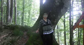 Galerie foto - poza 3