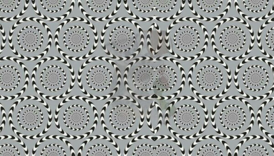 Test de inteligență