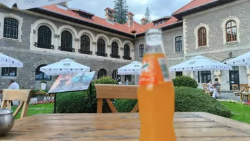 NU E BANC! Câți lei a plătit un român pentru un suc, la Castelul Cantacuzino din Bușteni