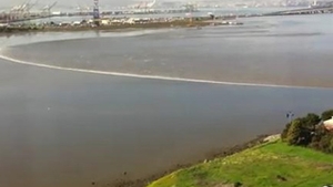 VIDEO Primele valuri provocate de tsunami-ul din Japonia care au ajuns in California pot pune in pericol infrastructura