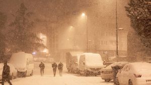 Anunţ terifiant de la ANM! E cod galben de ninsori în 14 judeţe din ţară