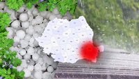 Prognoza meteo azi, 3 septembrie 2026. Sudul și estul o încasează de la vreme! Furtuni, grindină și peste 30 l/mp în numai câteva ore