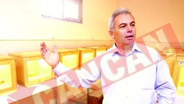 Crema antirid din venin de vipera
