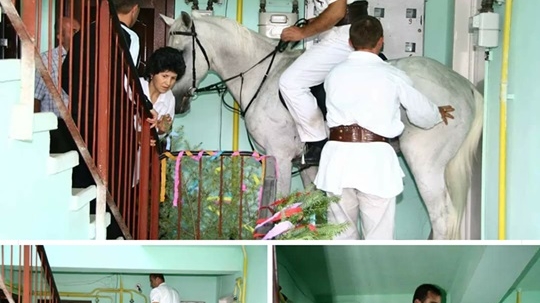 Imagini incredibile! A intrat într-un bloc călare pe un cal ca să își ceară mireasa de la părinți: "Un cavaler la pețit"