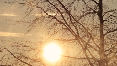 Vremea o ia razna în România! Zonele în care vine căldura: temperaturi de primăvară