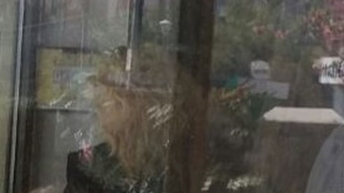 După divorţ, fostul soţ al "Zanei" a strâns relaţia cu blonda! Tuncay, pozat în ipostaze apropiate cu asistenta lui!