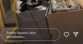 Galerie foto - poza 4