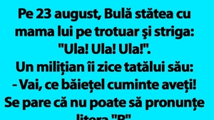 BANC | Pe 23 august, Bulă stătea cu mama lui pe trotuar şi striga: "Ula! Ula! Ula!"