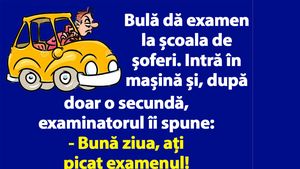 Bancul dimineții | Bulă dă examen la școala de șoferi