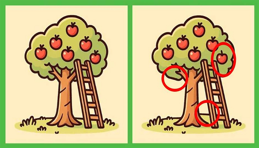 Test de inteligență | Acești doi meri par identici, dar nu sunt. Găsiți cele 3 diferențe!