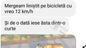 BANCUL ZILEI | "Mergeam liniștit cu bicicleta"