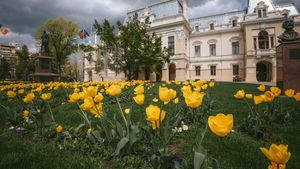 Isabela Dănălache, fostă dansatoare la bară în Italia, apărată de Primăria Iași: “Nu a încălcat nicio lege”