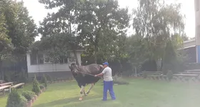 Galerie foto - poza 4