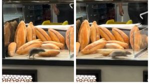 Scene incredibile în vitrina unei brutării din București! Un șobolan a fost filmat printre produse