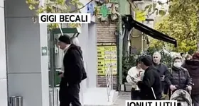 Galerie foto - poza 3