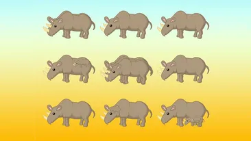 Test IQ | Câți rinoceri sunt, în total, în această imagine? Geniile răspund corect în 7 secunde