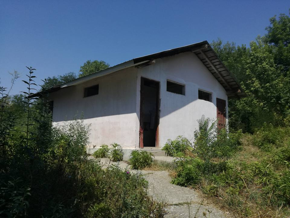 Aşa arată WC-ul copiilor