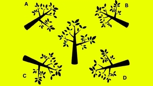 Test de inteligență | Care este umbra corectă a copacului din imagine?