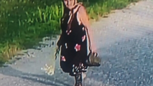 Poliţiştii dintr-o comună din Vâlcea sunt în alertă! O bătrână a plecat să culeagă ciuperci şi nu mai e de găsit