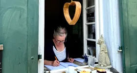 Galerie foto - poza 4