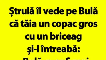 Bancul de duminică | Ștrulă îl vede pe Bulă că tăia un copac gros cu un briceag