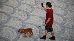 De ce a interzis Iranul plimbatul câinilor în spațiile publice. Acum autoritățile extind măsura