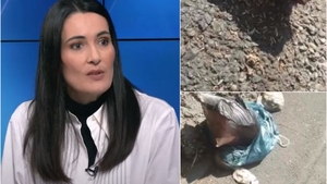 O stradă din Sectorul 1, "invadată" de viermi. Primarul Clotilde Armand, desființată de Dana Budeanu