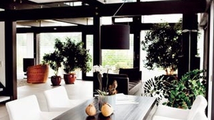 Cum sa purificam aerul din locuinta. Ce plante decorative sunt utile in apartament
