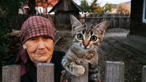 Fotografia care a devenit virală pe internet. O bunicuță din Bucovina a înduioșat mii de oameni