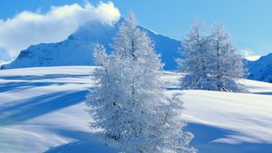 METEO 27 OCTOMBRIE: La munte se anunţă ninsori