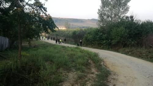 Minune într-o comună din Dolj! O fetiță de doi ani, în viață, după ce a stat o noapte pe câmp printre animale sălbatice