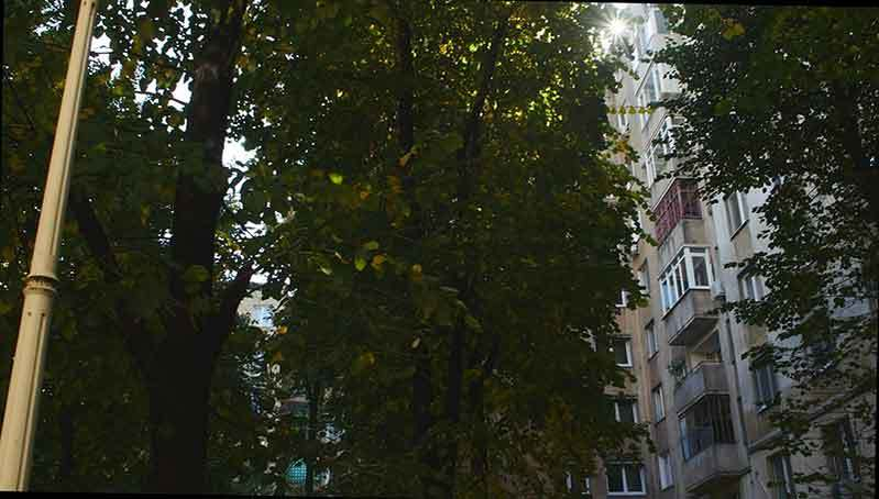 În spatele blocului s-ar petrece lucruri necurate, potrivit administratorului
