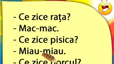BANCUL ZILEI | Rața, pisica și porcul