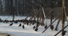 Galerie foto - poza 3