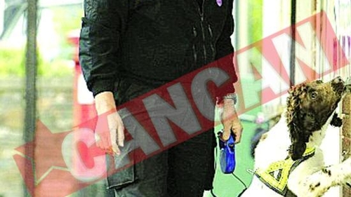 Cainii politisti, obligati sa poarte botosi