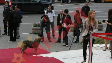 A dat buzna neinvitat pe covorul rosu