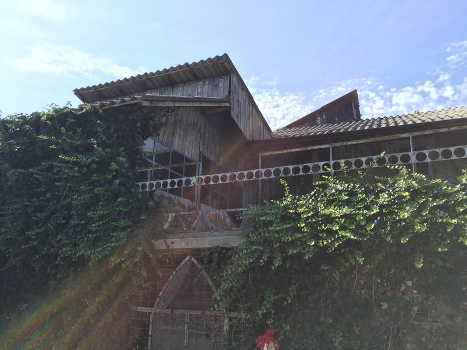 Au fost reluate căutările la casa groazei din Caracal. Procurorii au revenit în această dimineaţă