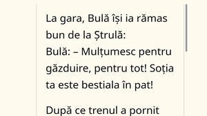 BANC | Bulă își ia rămas bun de la Ștrulă: "Mulțumesc! Soția ta e bestială în pat!"