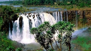 O tanara a supravietuit dupa ce coarda elastica s-a rupt in timp ce sarea in fluviul Zambezi!